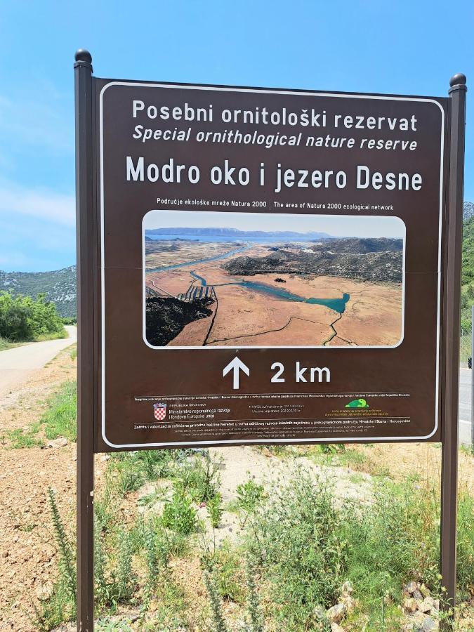 Lavanda * Desne